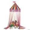 Big Top Canopy Tent