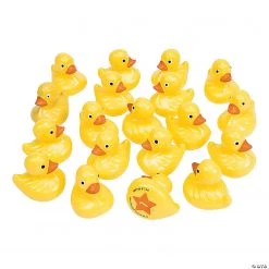 Duck Matching Game