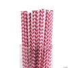 Chevron Paper Straws - 24 Pc.