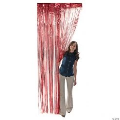 Metallic Fringe Door Curtains